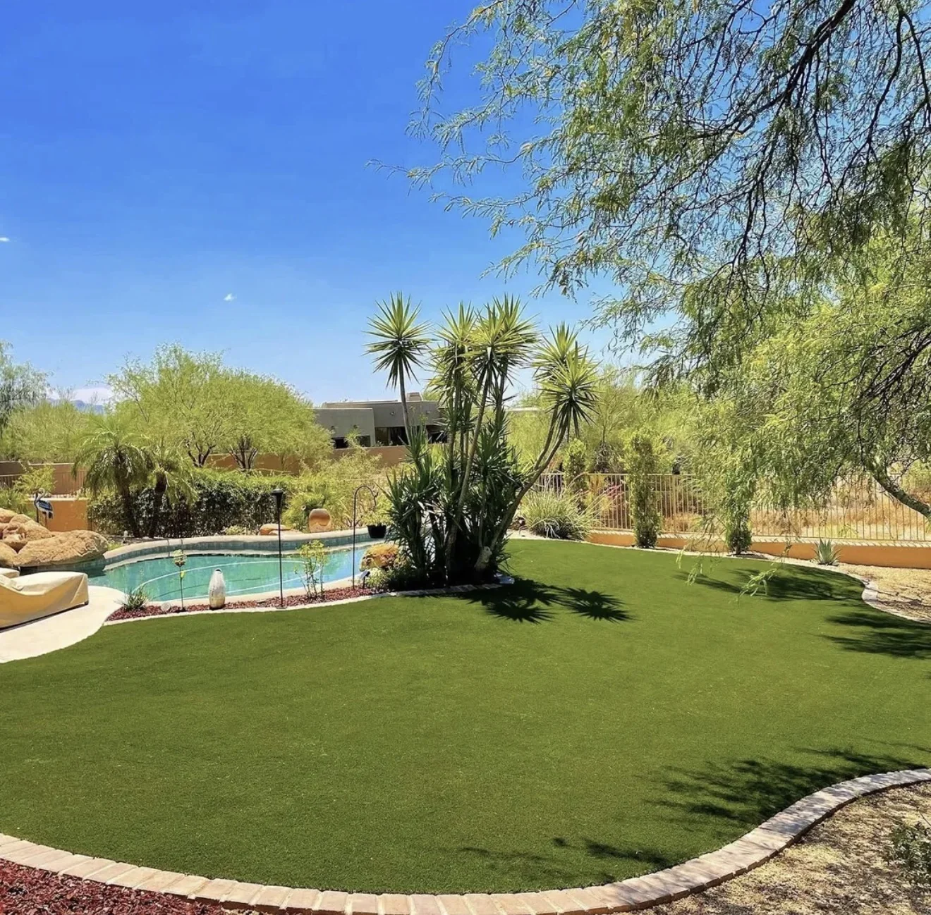 Mature desert trees and luxury green lawn
